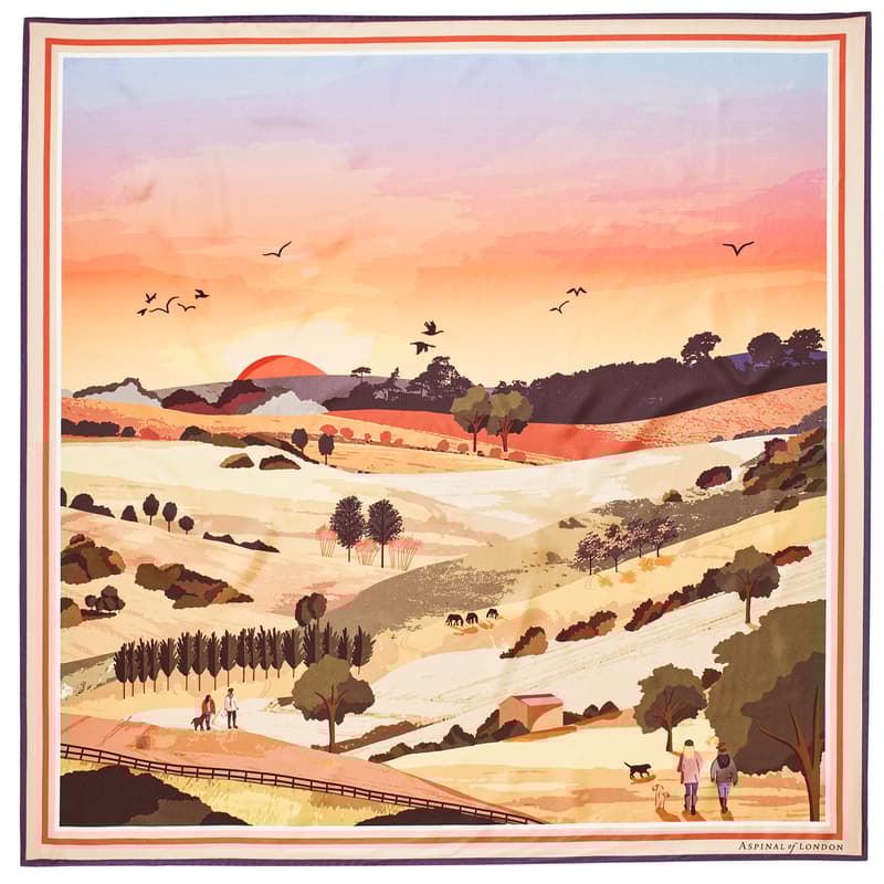 Aspinal of London South Downs Silk Scarf in Burnt Orange Pure Silk Aspinal of London South Downs Silk Scarf in Burnt Orange Pure Silk