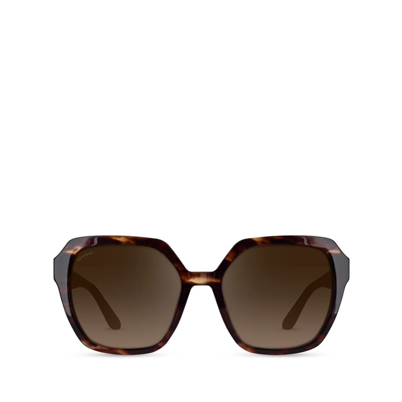 Aspinal of London Hudson Women's Sunglasses in Mahogany Acetate