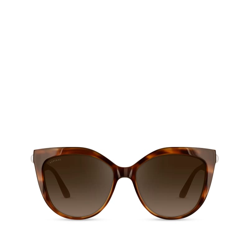 Aspinal of London Ascot Women's Sunglasses in Tortoiseshell Acetate