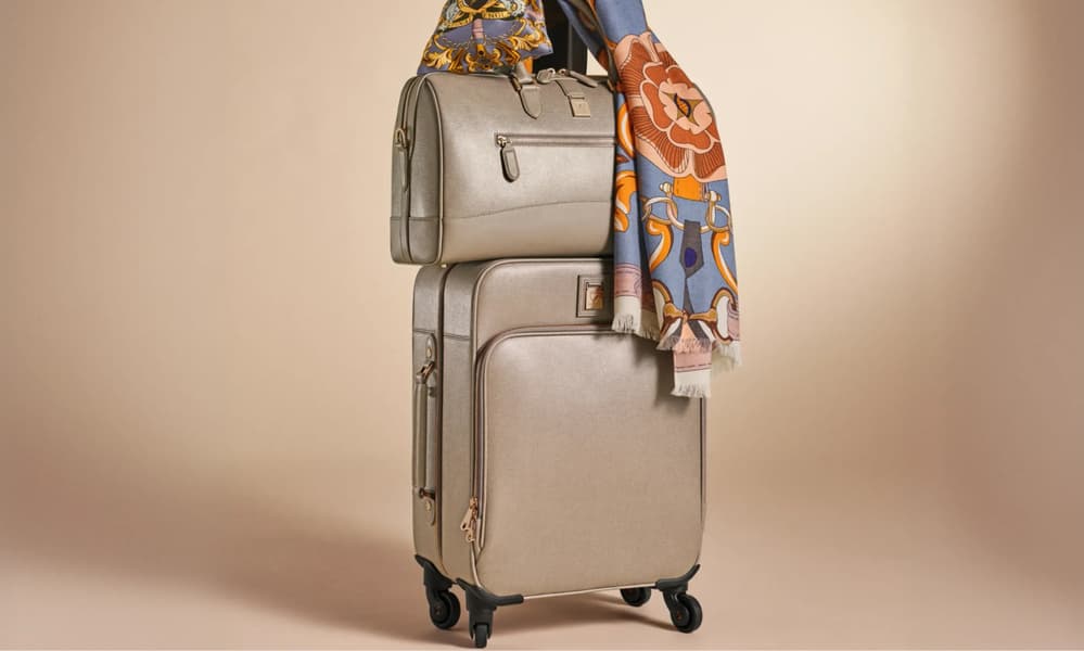 neutral cabin case and carry on bag