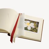 14-inch Leather Photo Album Navy Pebble