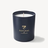 Scented Candle Wild Fig