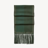 Pure Silk Tassel Scarf Evergreen Quadrant