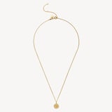 Capricorn Zodiac Pendant Necklace Capricorn in 18ct Gold Vermeil