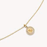 Capricorn Zodiac Pendant Necklace Capricorn in 18ct Gold Vermeil