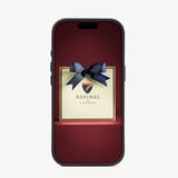 iPhone 16 Pro Magnetic Card Case Black Pebble