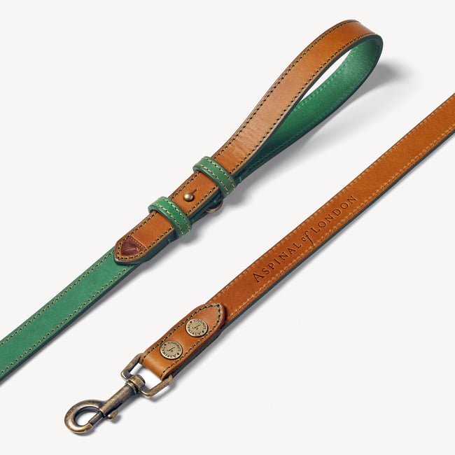 Dog Lead Green Nubuck