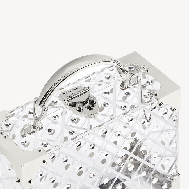 Crystal Trunk Transparent Acrylic with Silver Crystals