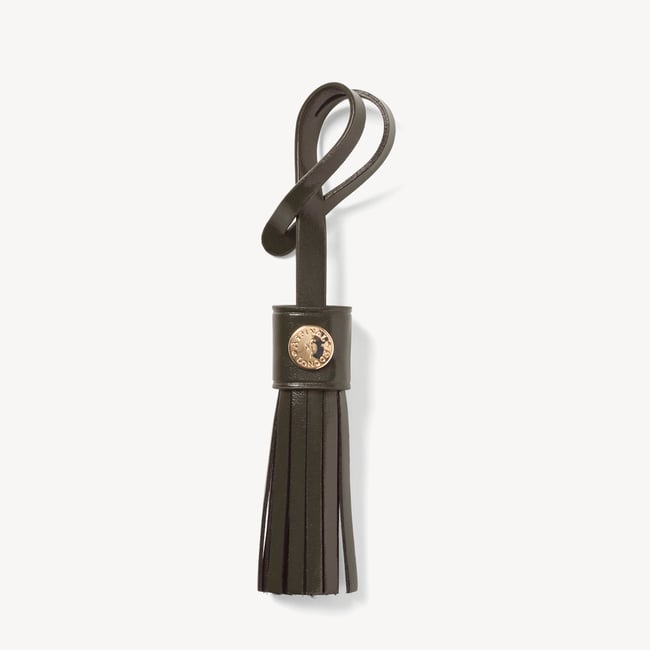 Camera Crossbody Evergreen Woven Leather