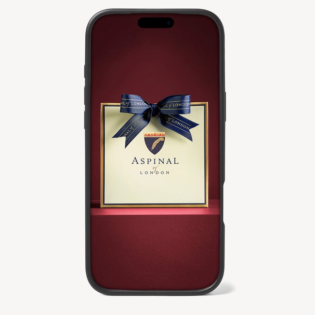 iPhone 17 Pro Max Case Navy Pebble