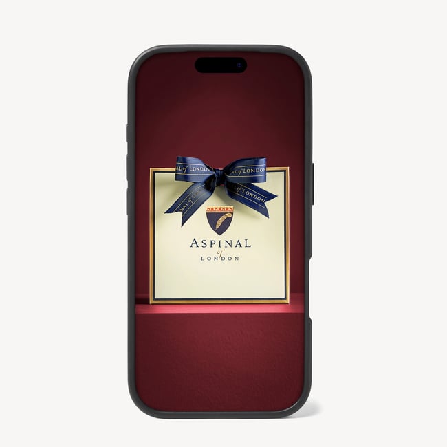 iPhone 17 Pro Case Black Pebble