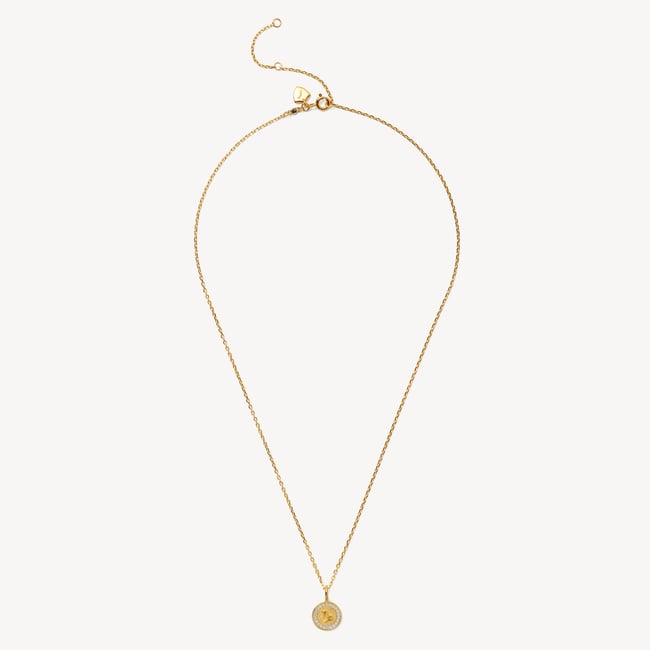 Capricorn Zodiac Pendant Necklace Capricorn in 18ct Gold Vermeil