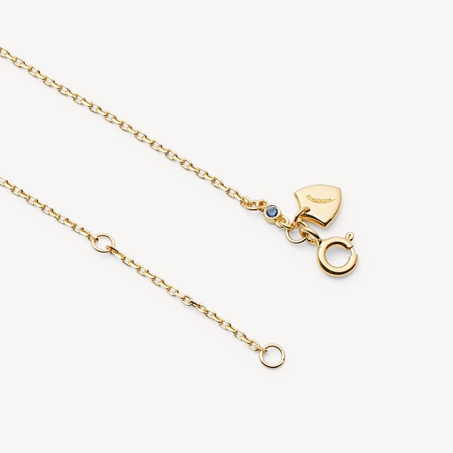 Capricorn Zodiac Pendant Necklace Capricorn in 18ct Gold Vermeil