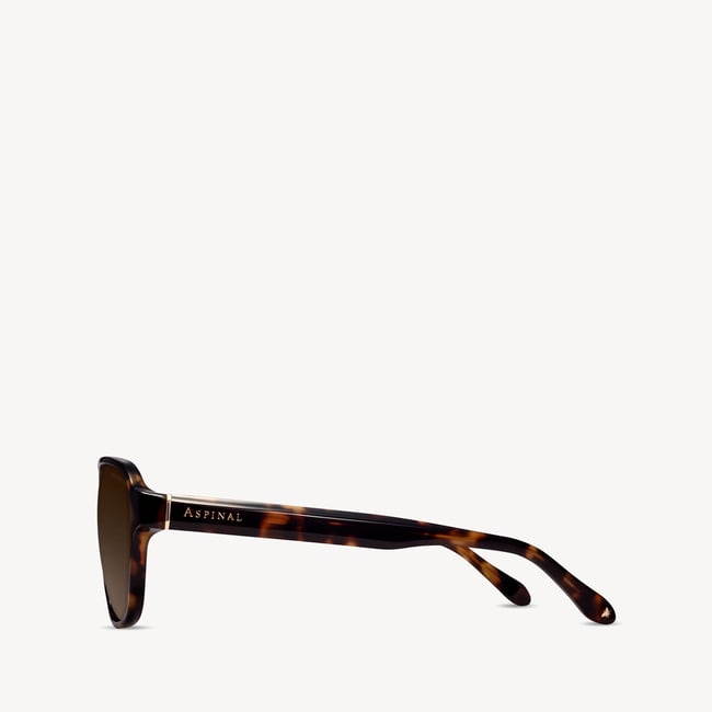 St Barts Aviator Sunglasses Tortoiseshell 