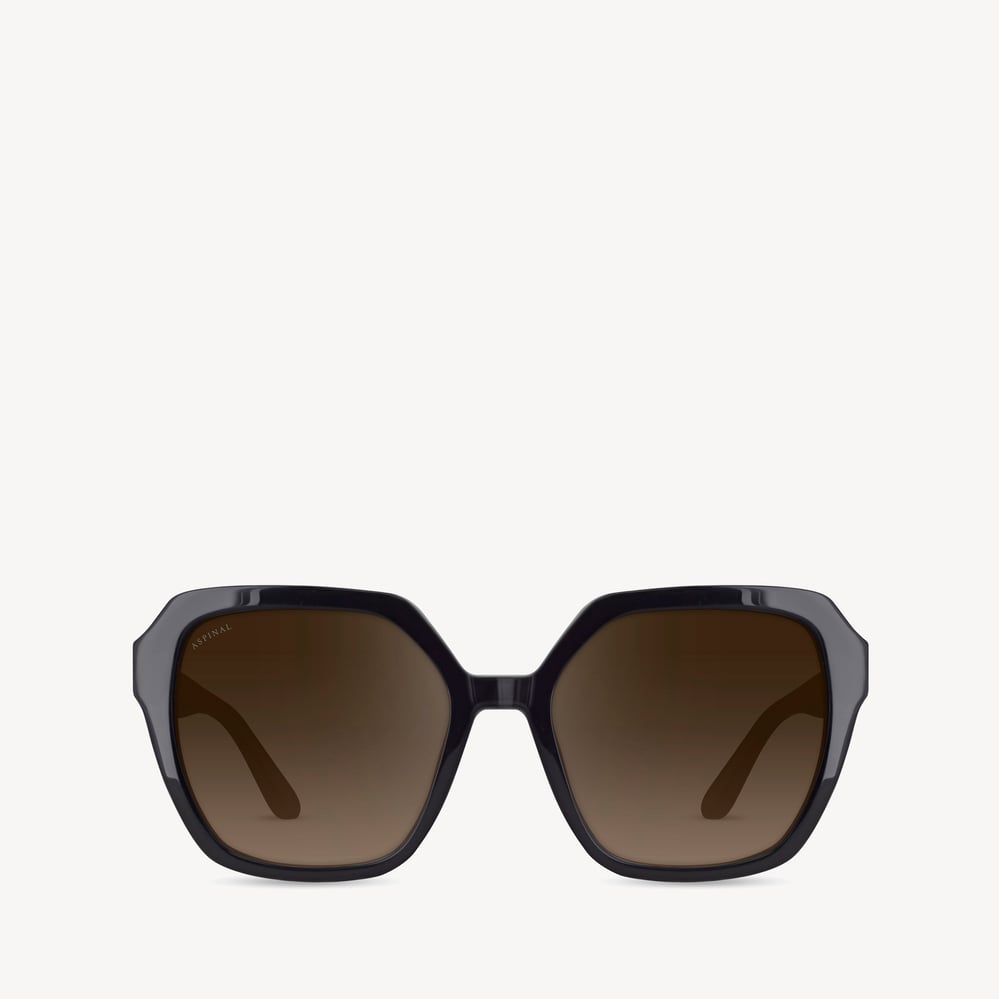 Hudson Square Sunglasses Black 