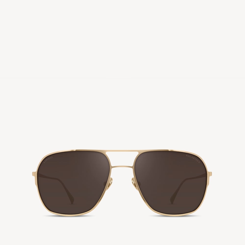 Maranello Aviator Sunglasses Gold Stainless Steel