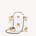 Lion Trunk in Transparent Acrylic with Gold Hardware from Aspinal of London