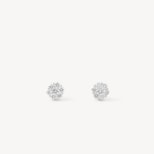 Monaco 0.50ct. Diamond Cluster Stud Earrings from Aspinal of London