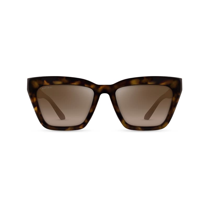 Aspinal Of London Santa Barbara Women's Sunglasses In Brown
