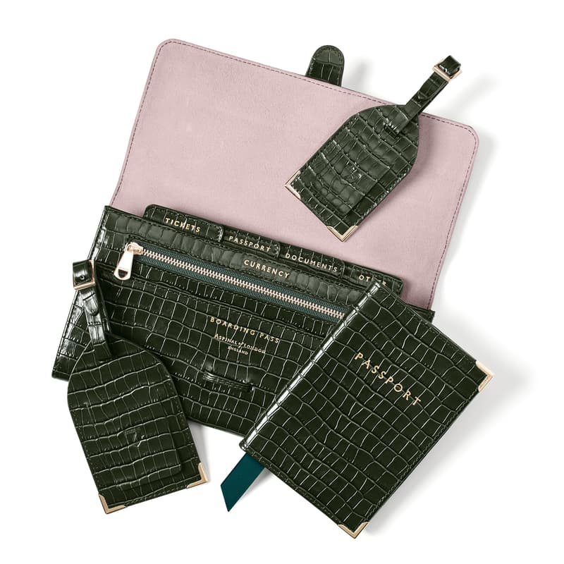 Aspinal of London Travel Collection in Deep Shine Evergreen Small Croc