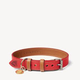 Large Dog Collar Red Nubuck