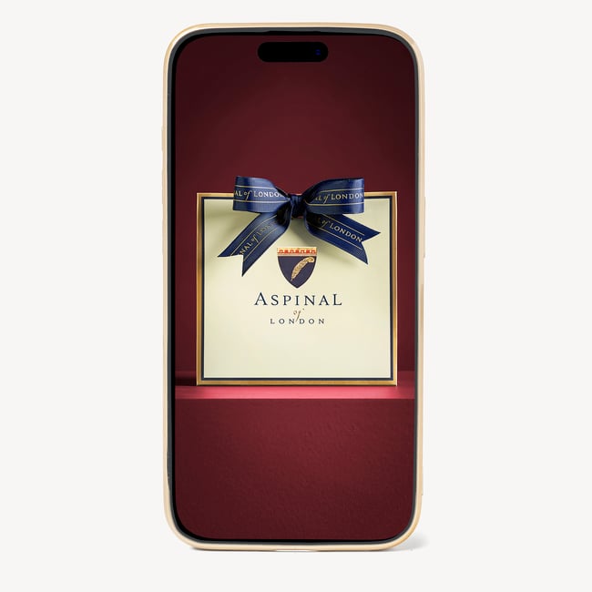 iPhone 15 Pro Max Case Navy Pebble