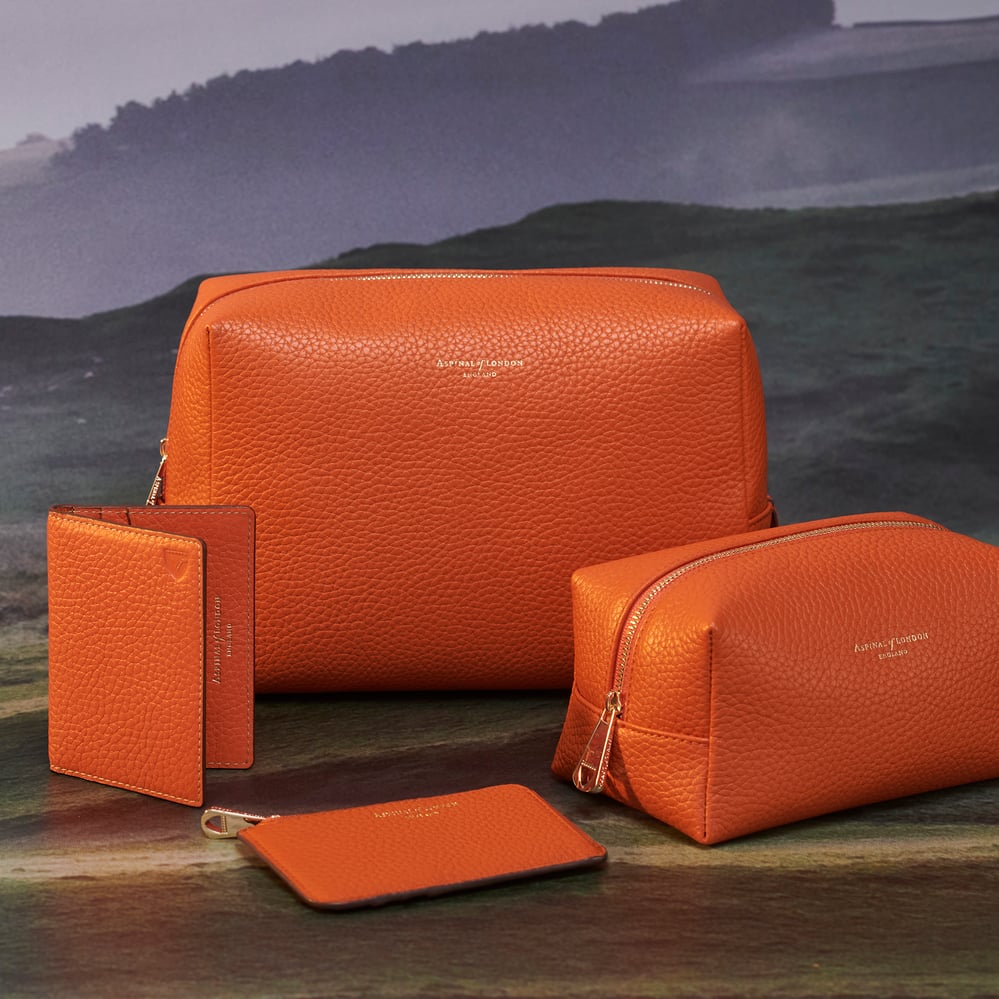 Women's Leather Accessories Aspinal of London