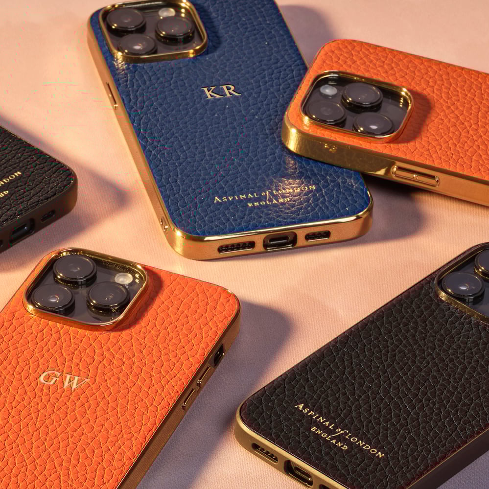 Women's Leather Accessories Aspinal of London