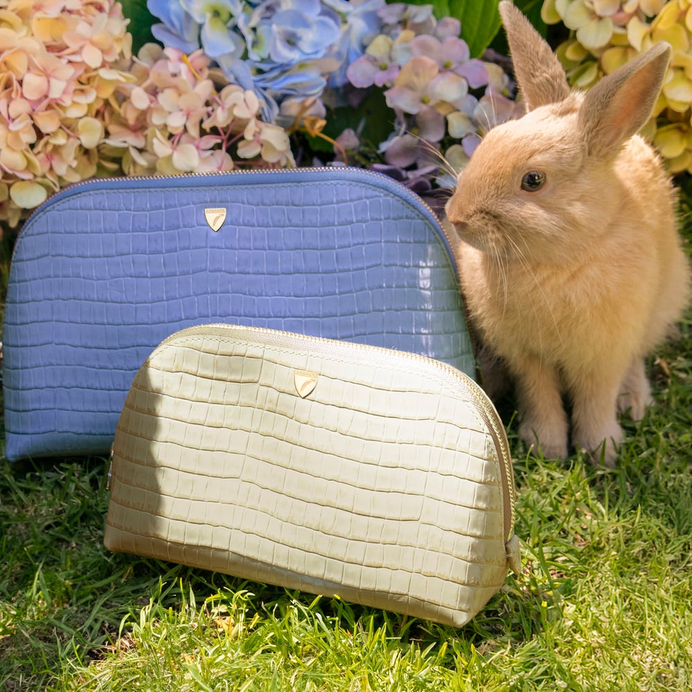 Makeup Bags & Cases