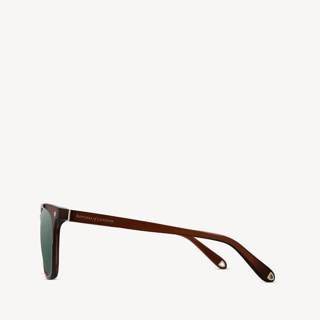 Biarritz Sunglasses Cognac Acetate