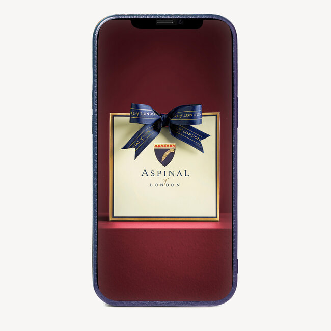 iPhone 12 Pro Max Navy Pebble