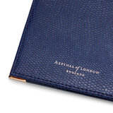 Passport Cover Navy Lizard