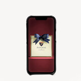 iPhone 13 Mini Case Black Pebble