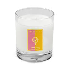 Grapefruit Scented Candle