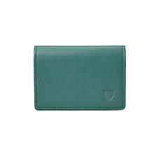 Accordion Credit Card Holder in Smooth Sage