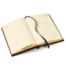 A5 Day to Page Leather Diary in Deep Shine Amazon Brown Croc