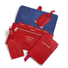Travel Collection with Removable Inserts in Scarlet Silk Lizard