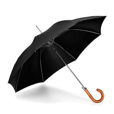 Walking Length Automatic Umbrella with Maple Wood Handle in Black