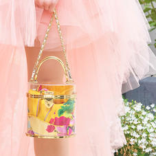 Pandora Bag in Transparent Plexiglass