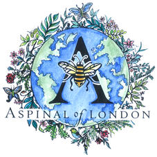 Bee Aspinal: Our Sustainability Journey