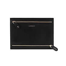 Currency Wallet