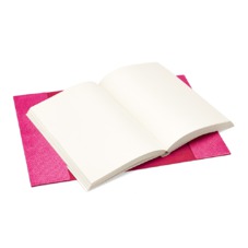 A5 Refillable Journal in Raspberry Lizard