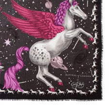 Pegasus Cashmere Blend Scarf in Fuchsia