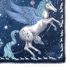 Pegasus Cashmere Blend Scarf in Blue