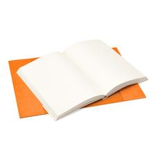 A5 Refillable Journal in Orange Lizard
