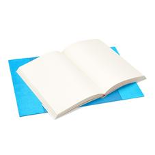 A5 Refillable Journal in Aquamarine Lizard