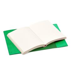 Refillable Pocket Notebook Journal in Grass Green Lizard