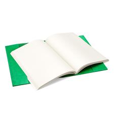 A4 Refillable Leather Journal in Grass Green Lizard