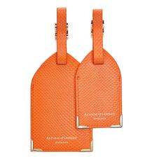 Set of 2 Luggage Tags in Orange Lizard