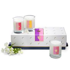 Candle Trio in Darjeeling, Frangipani, Grapefruit